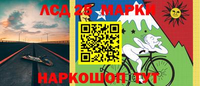 индика Надым
