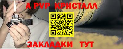 индика Надым