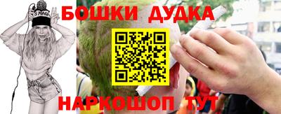 индика Надым