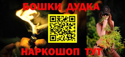 индика Надым