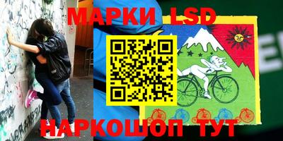 сатива Новоалтайск