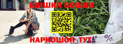 индика Надым