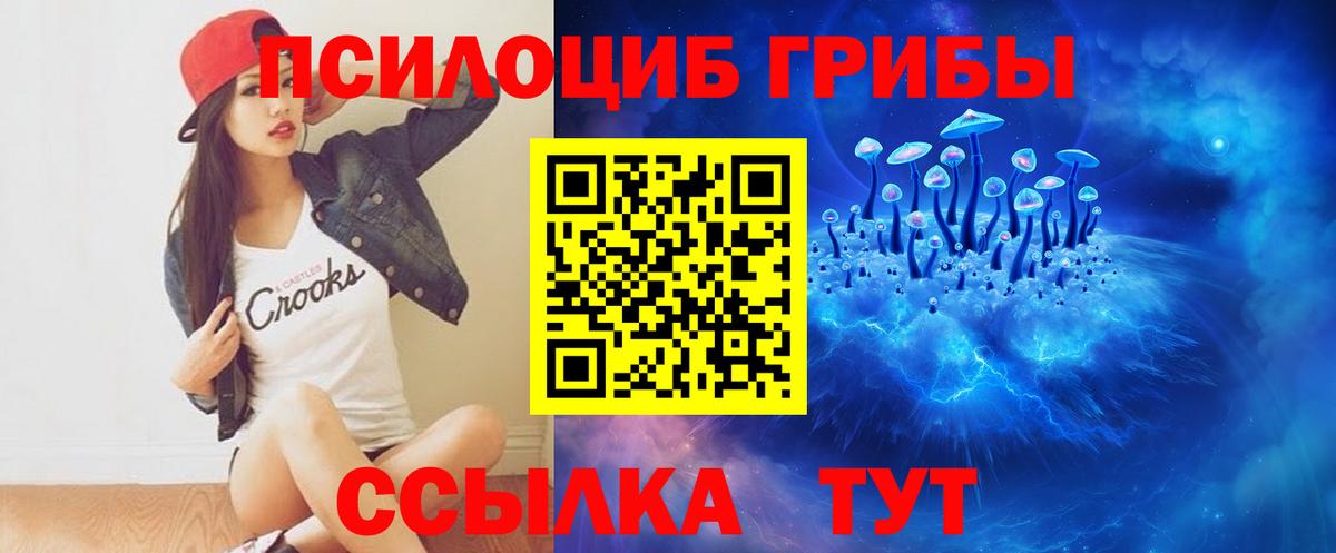 Галлюциногенные грибы Psilocybine cubensis  Вход с VPN  Новоуральск 