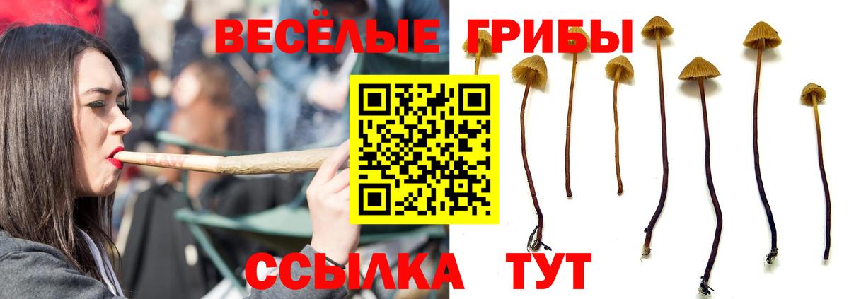 Галлюциногенные грибы Cubensis Новоуральск